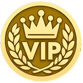 VIP персона